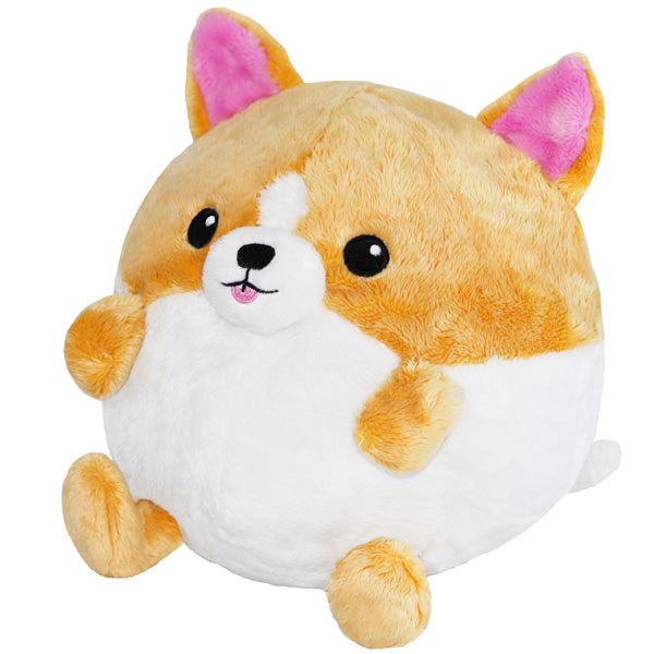 Squishable Corgi in Frog (Undercover)